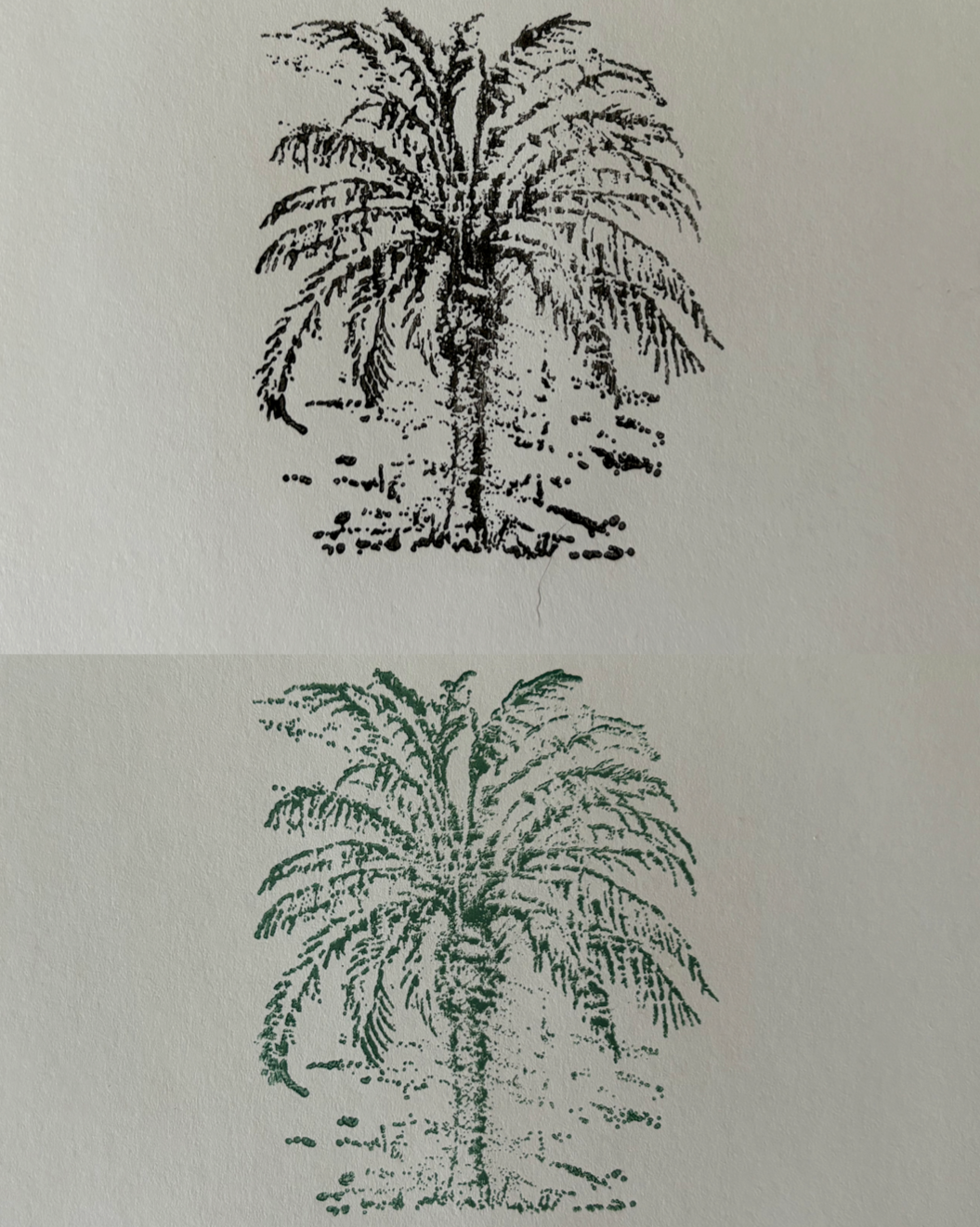 the "palm" design